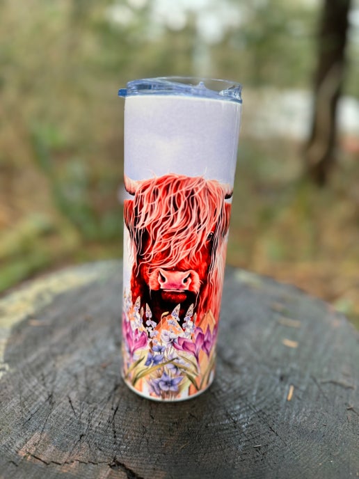 Highland Cow