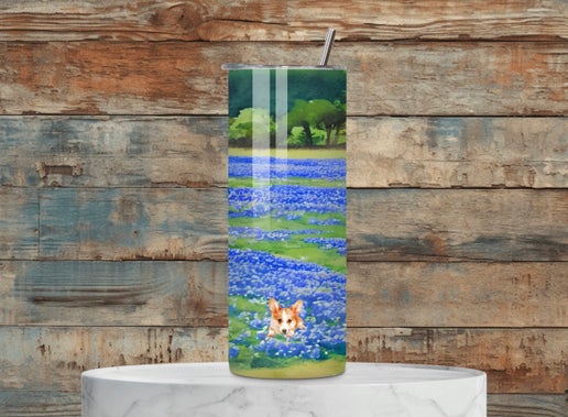 Corgis in the field
